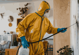 Odour Elimination Services 3 11zon